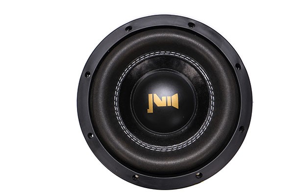 12 inch dual subwoofers.JPG