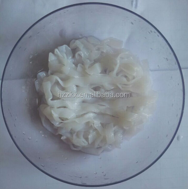 shirataki konjac noodles with zero fat zero calories