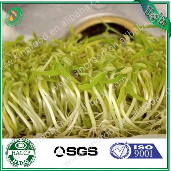 2014 NEW CROP green mung beans/bulk powder green coffee bean extract