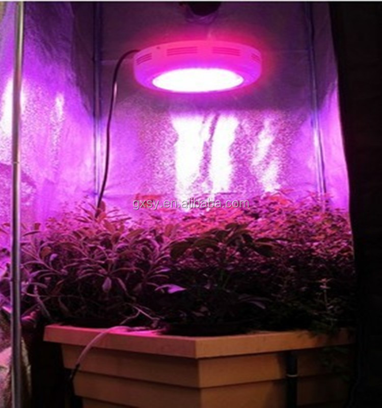 フルスペクトル240ワット植物成長ライト用成長トマト、 レタス、 バラ、 ハーブ植物仕入れ・メーカー・工場