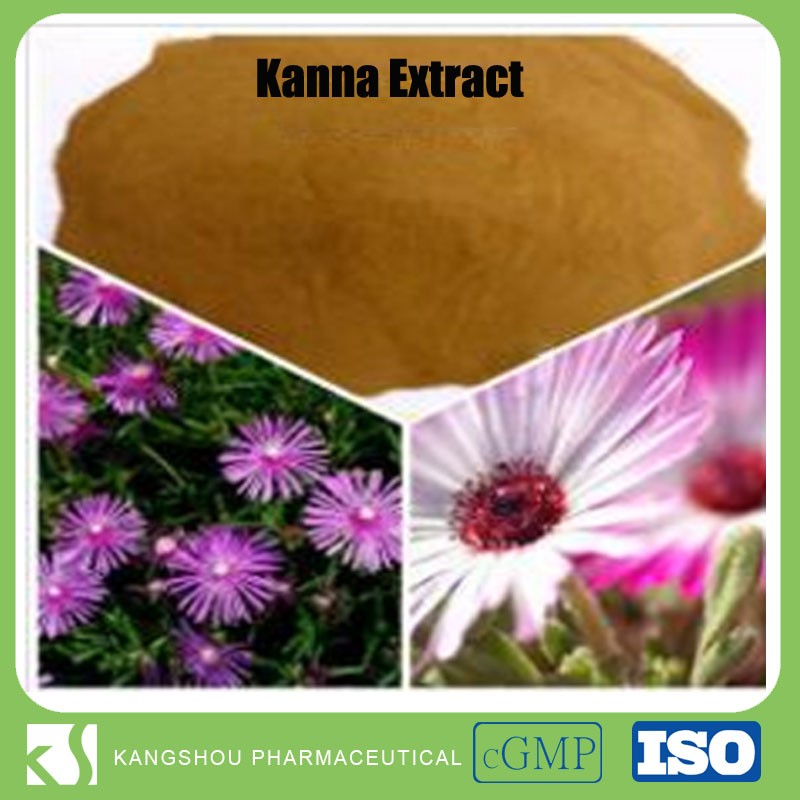 Natural Plant Extraction 98 Mesembrine Kanna Extract Buy Kanna