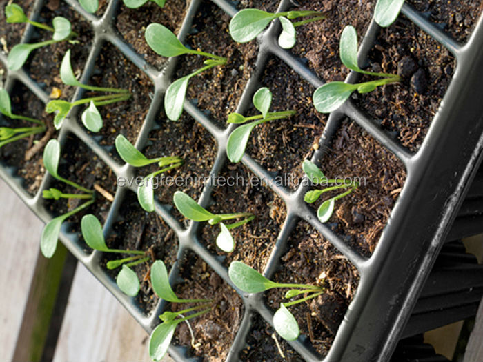 Nursery Seed Tray With Cover For Nursery Seed Tray With Cover For Plastic Vegetable Cutting Plant Propagation Product On Alibaba