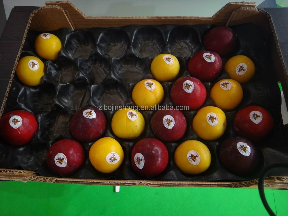 マンゴーためのフルーツトレイ、 パパイヤのためのトレイ、 リンゴのプレート仕入れ・メーカー・工場