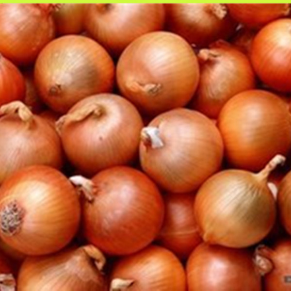 2014 New Crop onion importer from dubai,wholesale onion, Fresh Onion