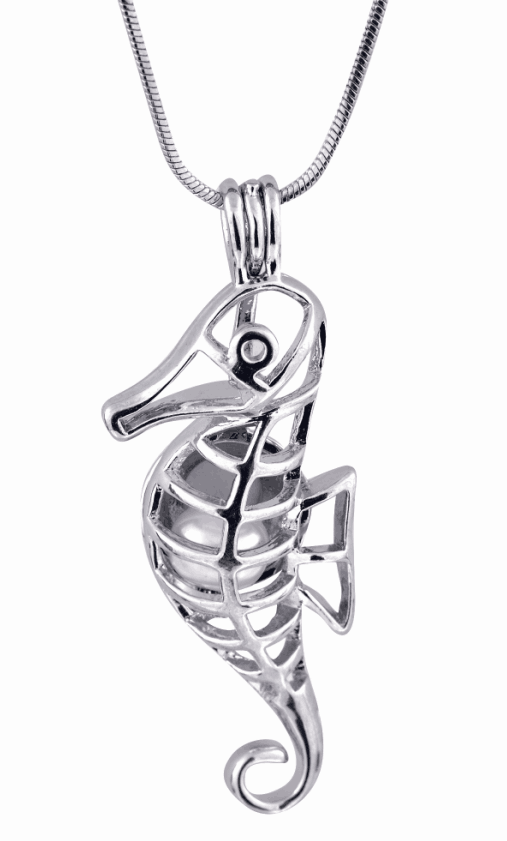 sea horse.png