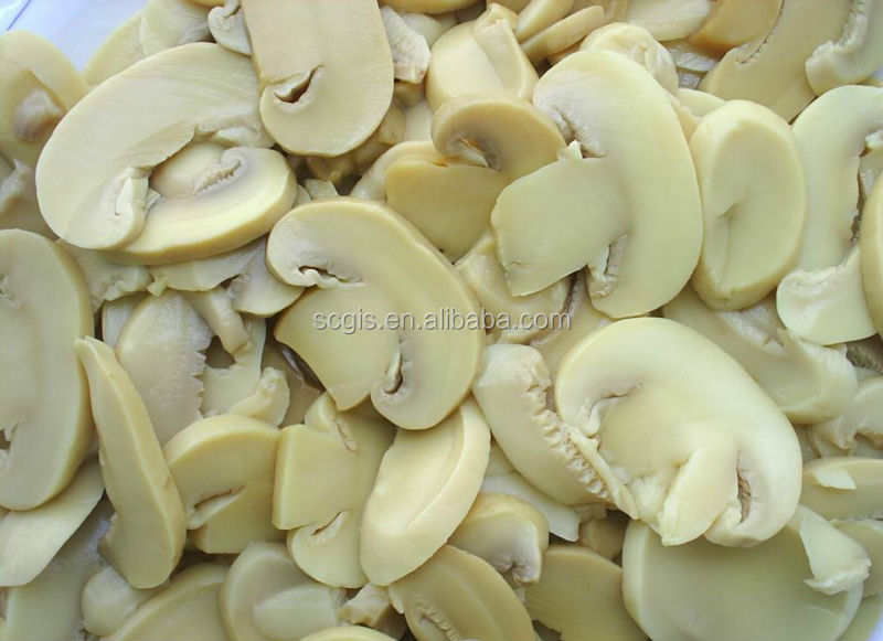 Chinese low price slice mushroom in tin 800g