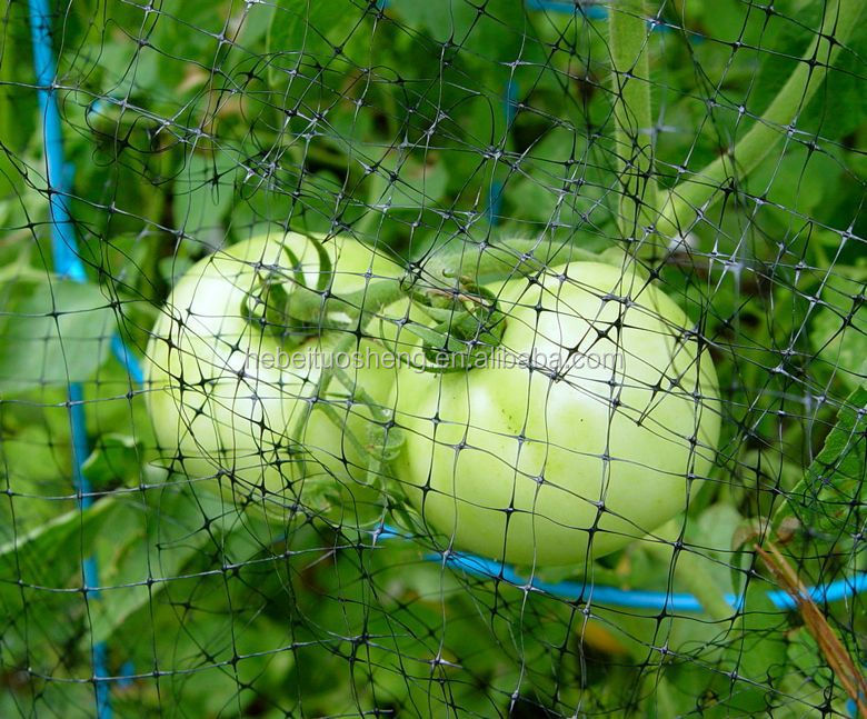 Bird Stop Netting 20mm Hole Mesh Net Protect Fruits Trees Vegetable Anti Bird Fruit Garden Vegetable Net 6 Jpg