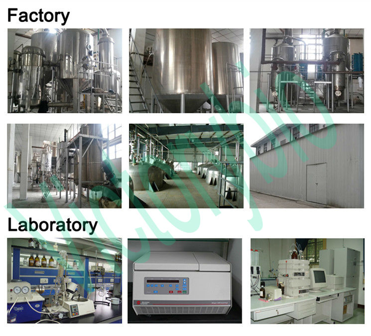 High Quality natural cocoa extract from factory
