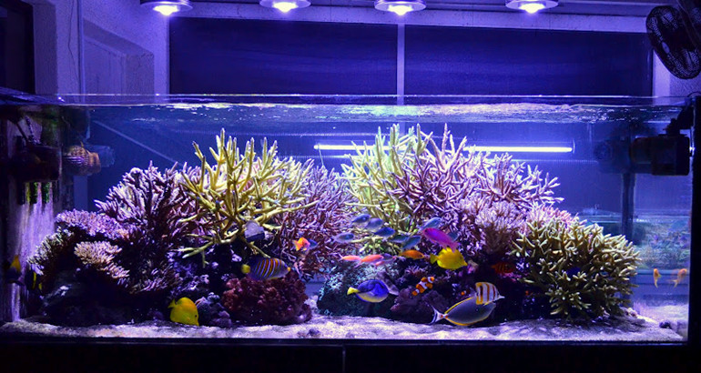アマゾンのトップセラーbs-57a120wpar38礁タンクのためのledアクアリウムライト仕入れ・メーカー・工場