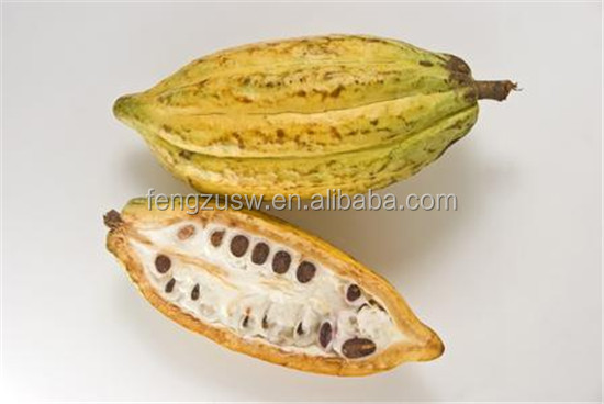 cocoa extract , Alkalized Cocoa Powder 10-12% fat