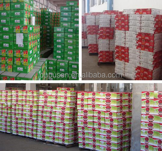 2014 High Quality Tomato Paste Best Tomato Paste