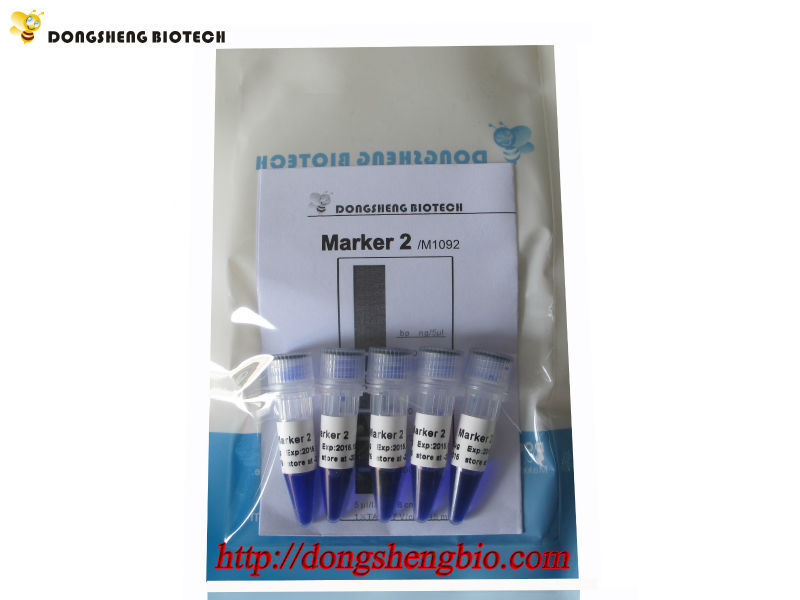 M1092 Marker2
