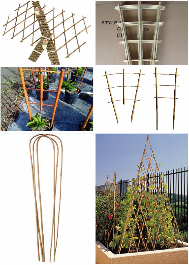 Cheap Wholesale Garden Plant Pot Trellis Buy Plant Pot Trellis,Plant