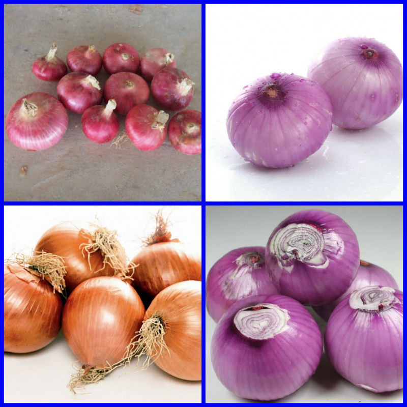 Onion Peeling Machine|Onion Peeler Machine|Onion Processing Machine