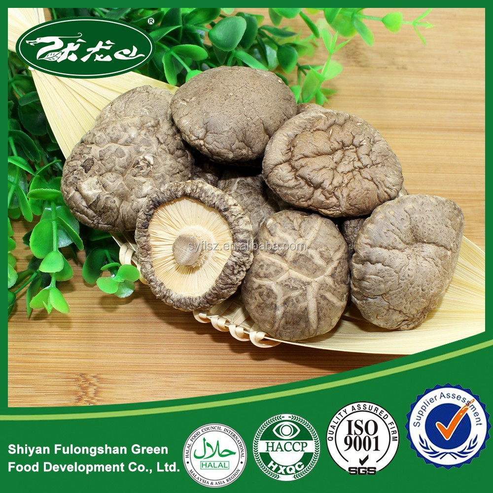 wholesale 100% natural organic dried mushroom