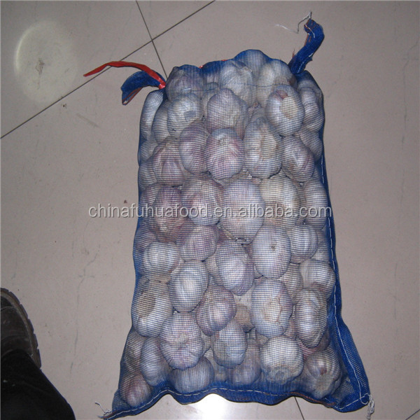 Fresh Garlic 20kg/mesh Bag