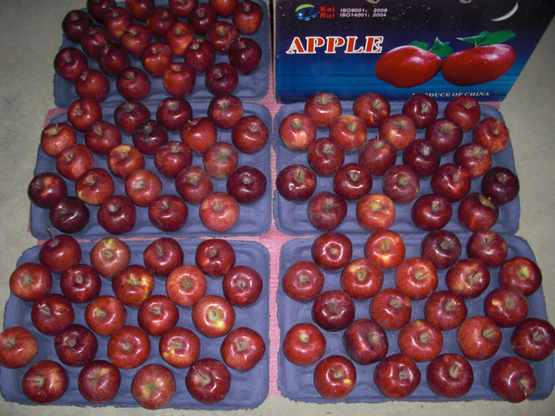 huaniu apple05