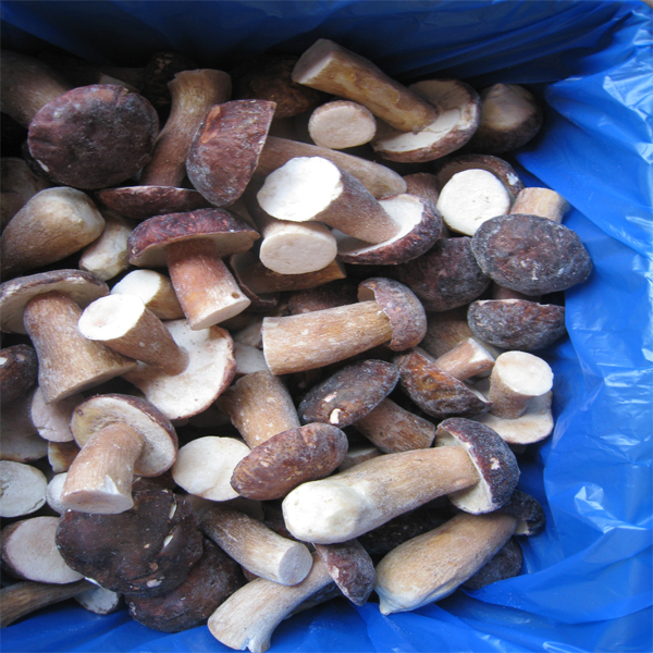2015 crop frozen boletus edulis mushroom half cut