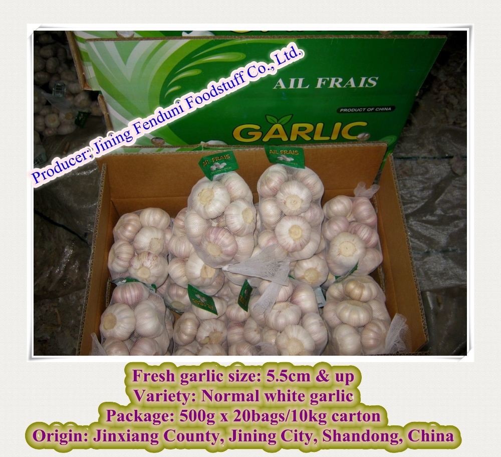 hot sale normal white garlic 500g * 20/10kg carton