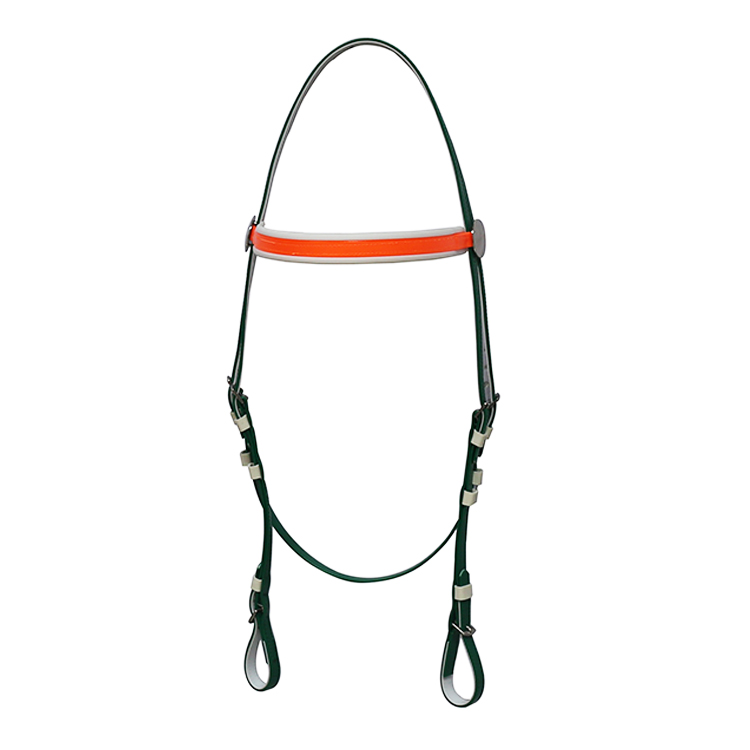 green + orange 03.jpg