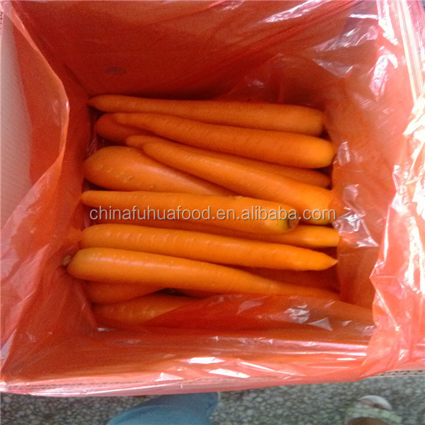Fresh Carrot Vegetables