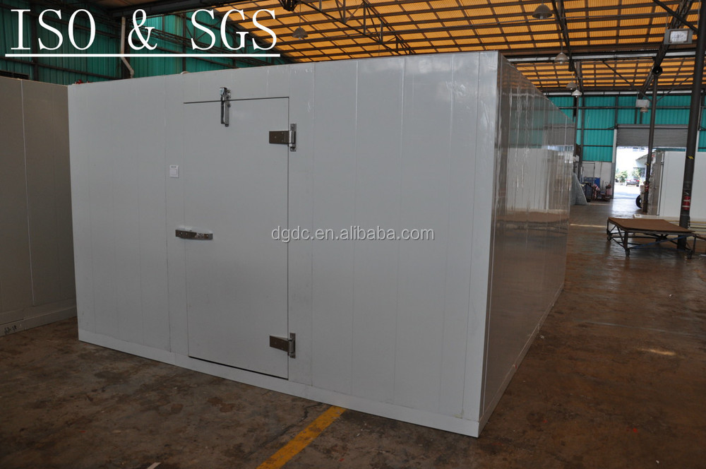 (SGS)cold room with hinge door