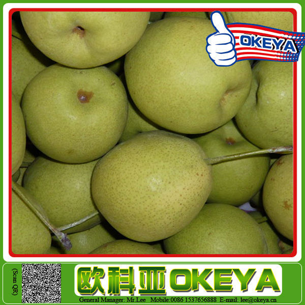 Top Quality Sweet Juicy types of canned food products