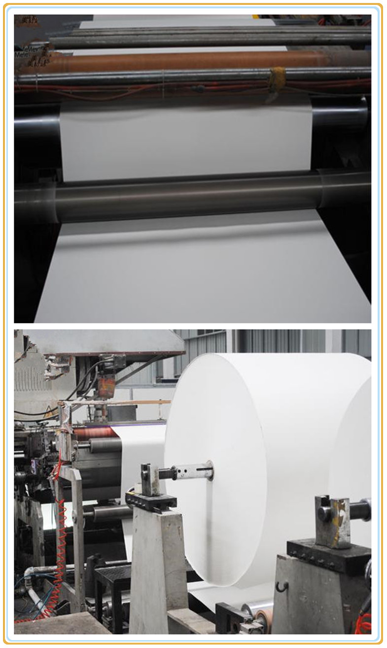 Pe Coated Paper Cup Blank With Printing And Cutting