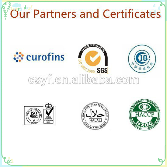 Cinnamon Bark Extract,Cinnamon Bark Extract powder,ceylon cinnamon powder