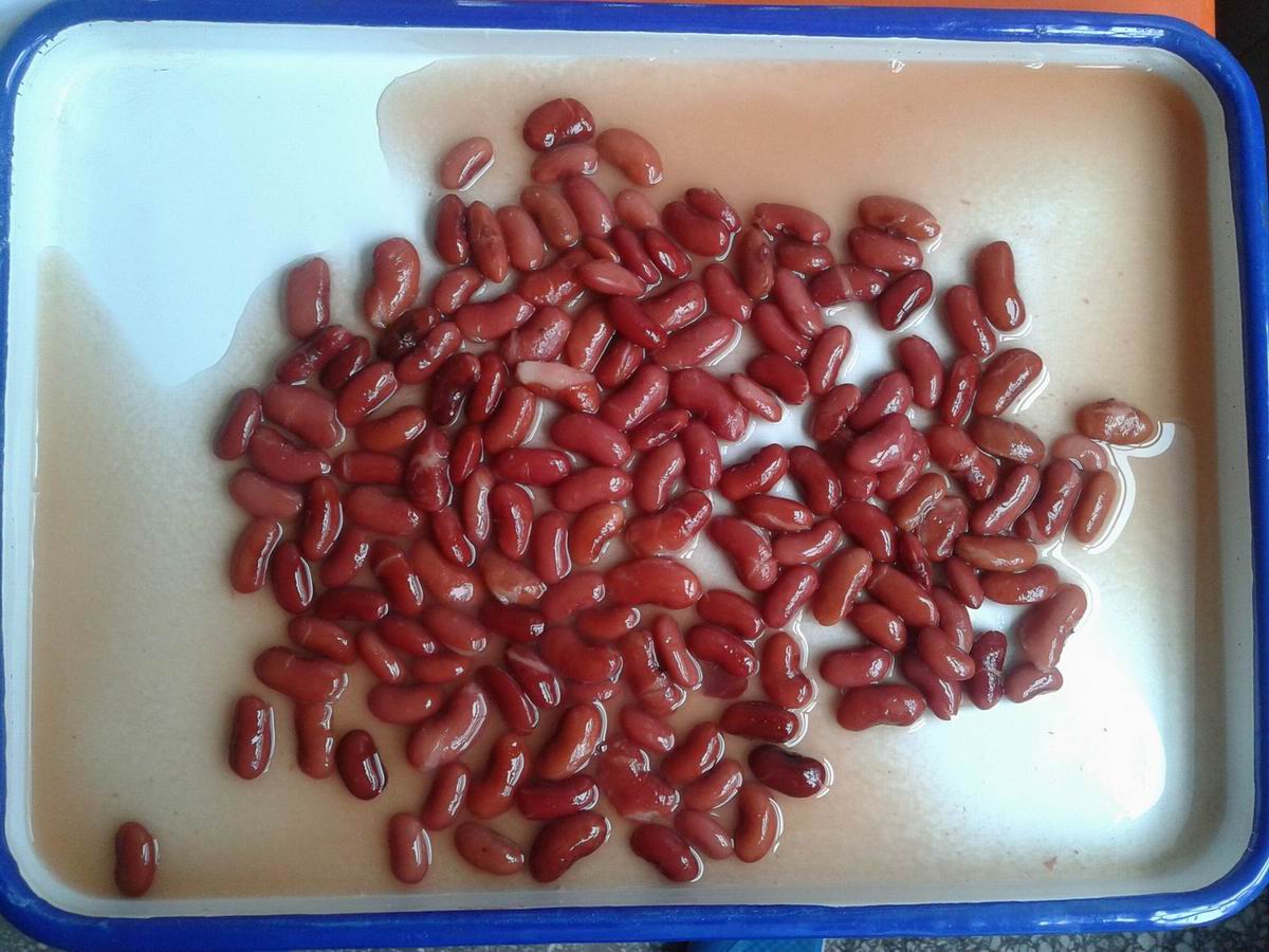 New Canned red kidney beans with high quality in China
