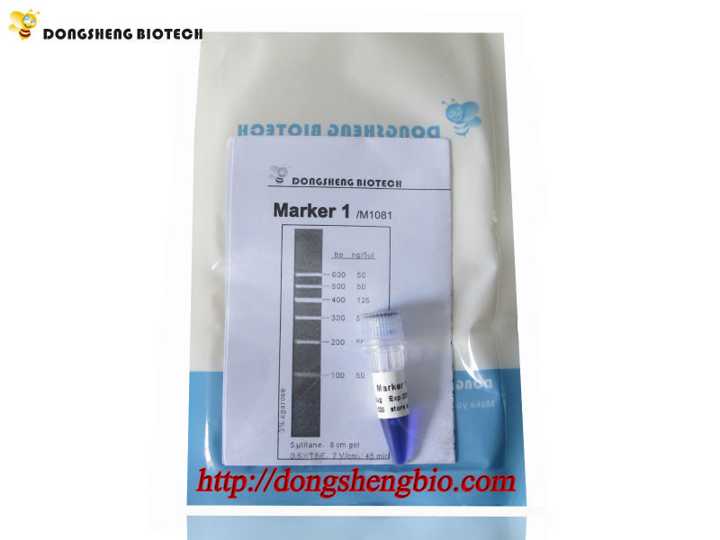 M1081 Marker1