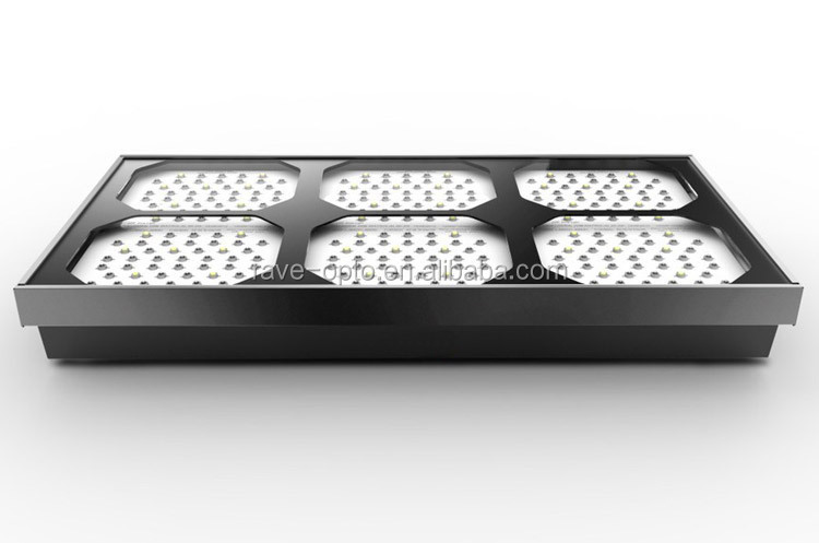 900w-4.jpg
