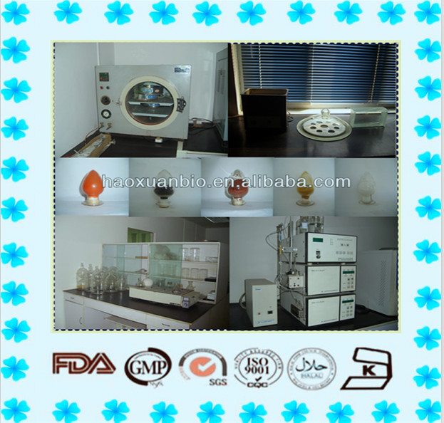 Factory Price Fructus Cnidii Extract //Common Cnidium Fruit Extract Osthole