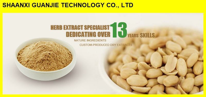 GMP ISO Approved 100% Natural Cinnamon Bark extract Supplier