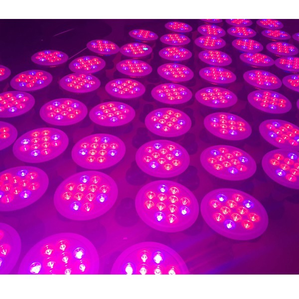 LED Grow Light 12W Plant Grow Lights E27 Growing Bulbs For Garden Greenhouse and Hydroponic Full Spectrum Growing Lamps