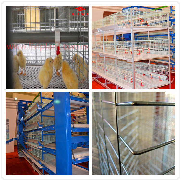 hen cage for sale in chennai,chicken cage,laying hen cages for sale