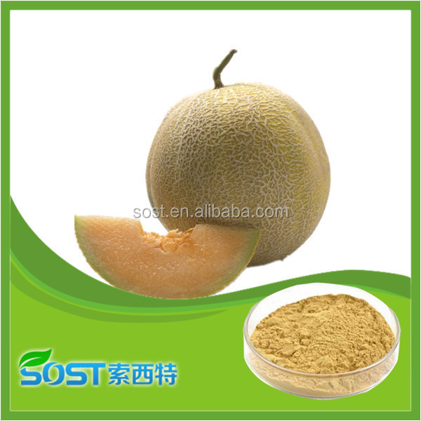 Top Quality Cantaloupe Extract Powder Buy Cantaloupe Extract