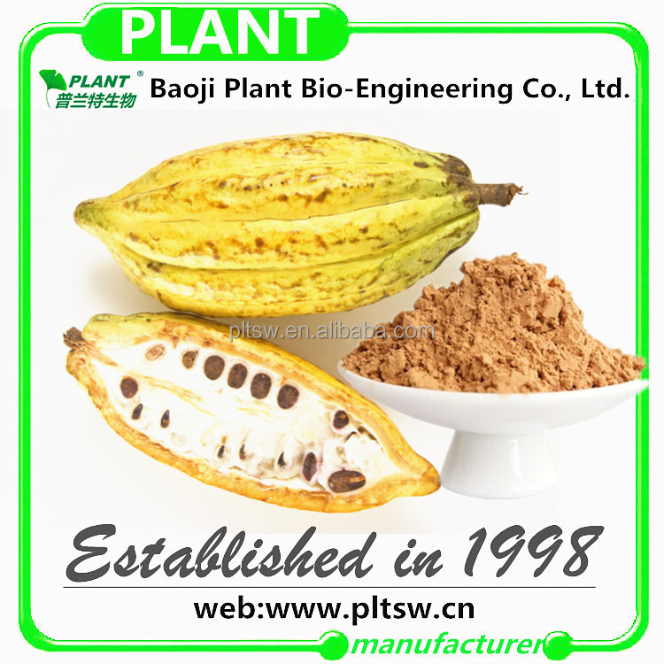 Factories supplying Cocoa Extract powder Theobromine20%