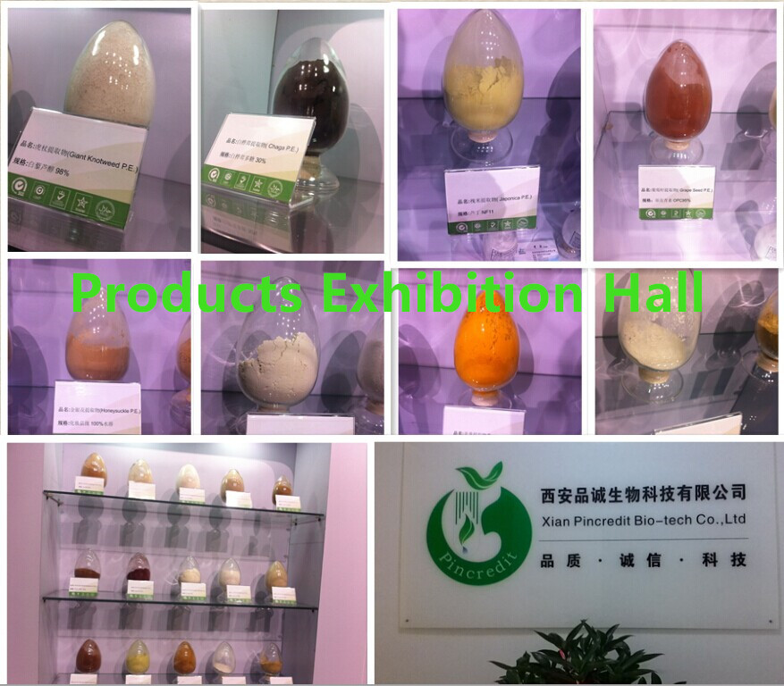 2014 best herb extract black pepper extract pure piperine