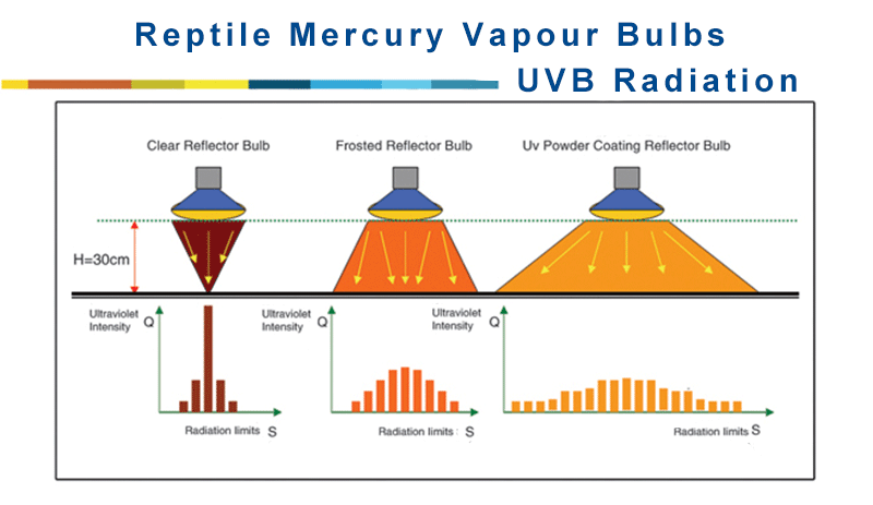 mercury-vapour-bulbs-clear-Frosted-power.png