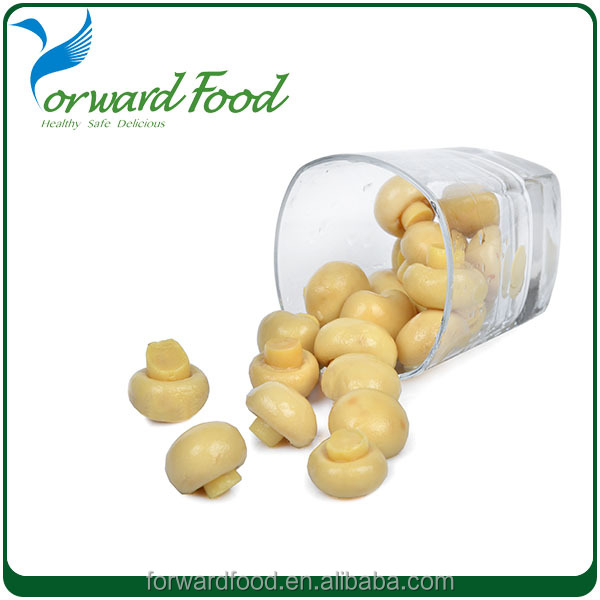 High quality canned button mushroom