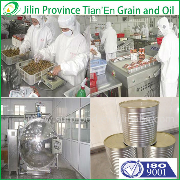 Canned vegetable Canned Red Kidney Bean With Best Price