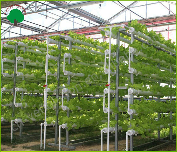Commercial Hydroponic Systems - Buy Commercial Hydroponic Systems ...