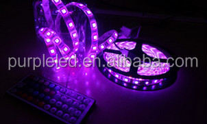 シングルコア紫色光5050 rgbw ledストリップ/ ledストリップ5050/5050 ledストリップ仕入れ・メーカー・工場