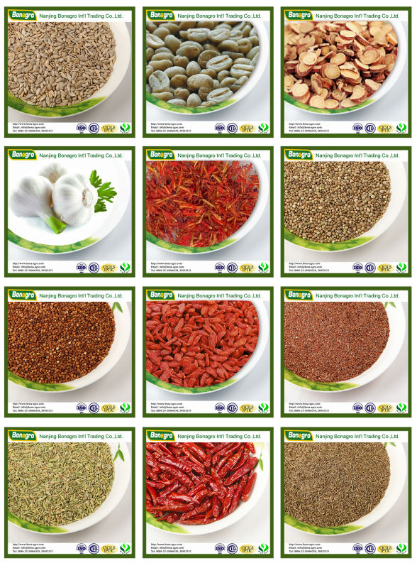 2014 chinese saffron