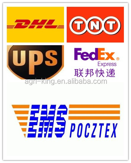 Chinese new IQF & Frozen all kinds of onions