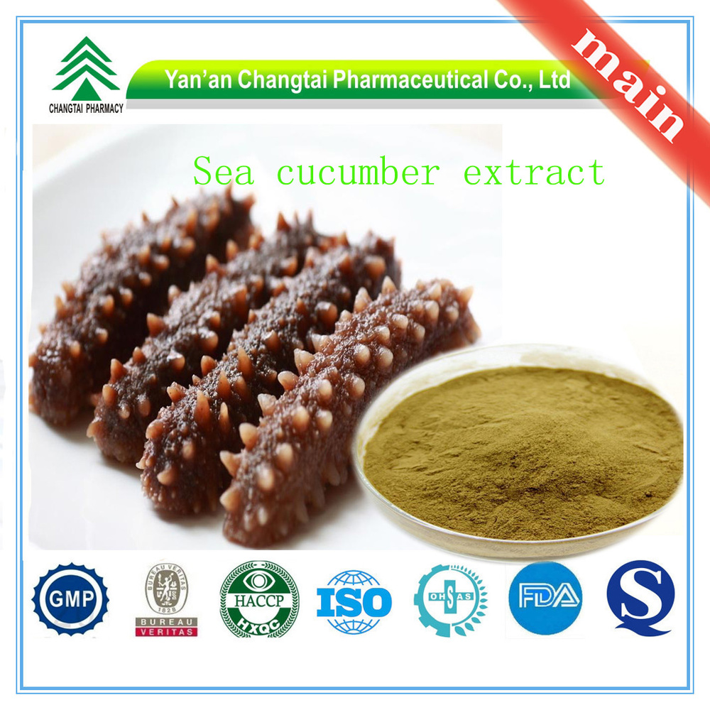 gmp certificate popular herbal sea cucumber extract