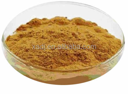 2014 Instant Black Tea Extract Powder with Polyphenols