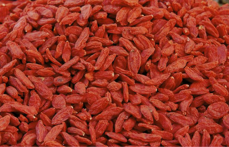 hot sale died goji berry