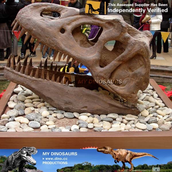 80cm34cm50cm.jpg